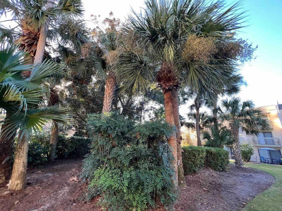הילטון הד איילנד Spacious, Cozy Villa W/Parking In Coligny Villas מראה חיצוני תמונה